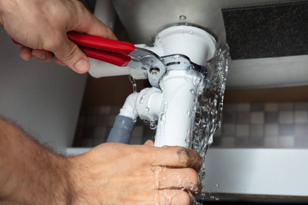 Best Mold removal after water damage  in Matthews, NC