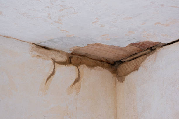 Best Local water damage restoration  in Matthews, NC