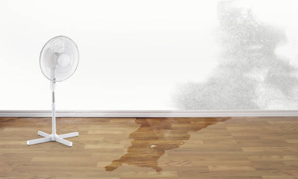 Best Local water damage restoration  in Matthews, NC