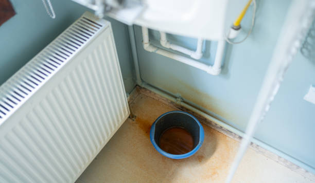 Best Flood damage cleanup  in Matthews, NC