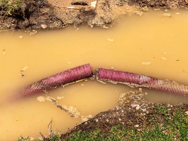 Best Water damage cleanup near me  in Matthews, NC
